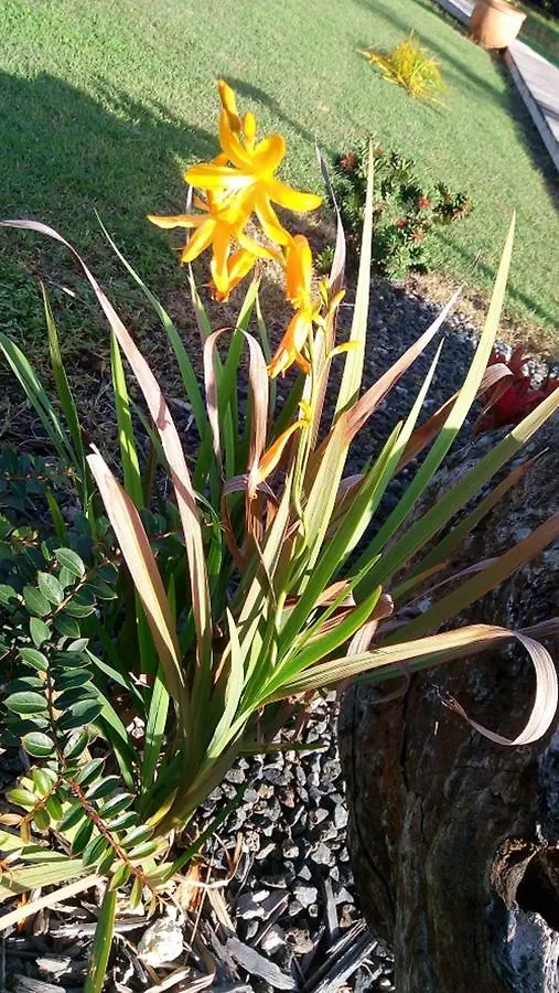 Les Jardins De Kalmeo Hotel Saint-Francois  Guadeloupe