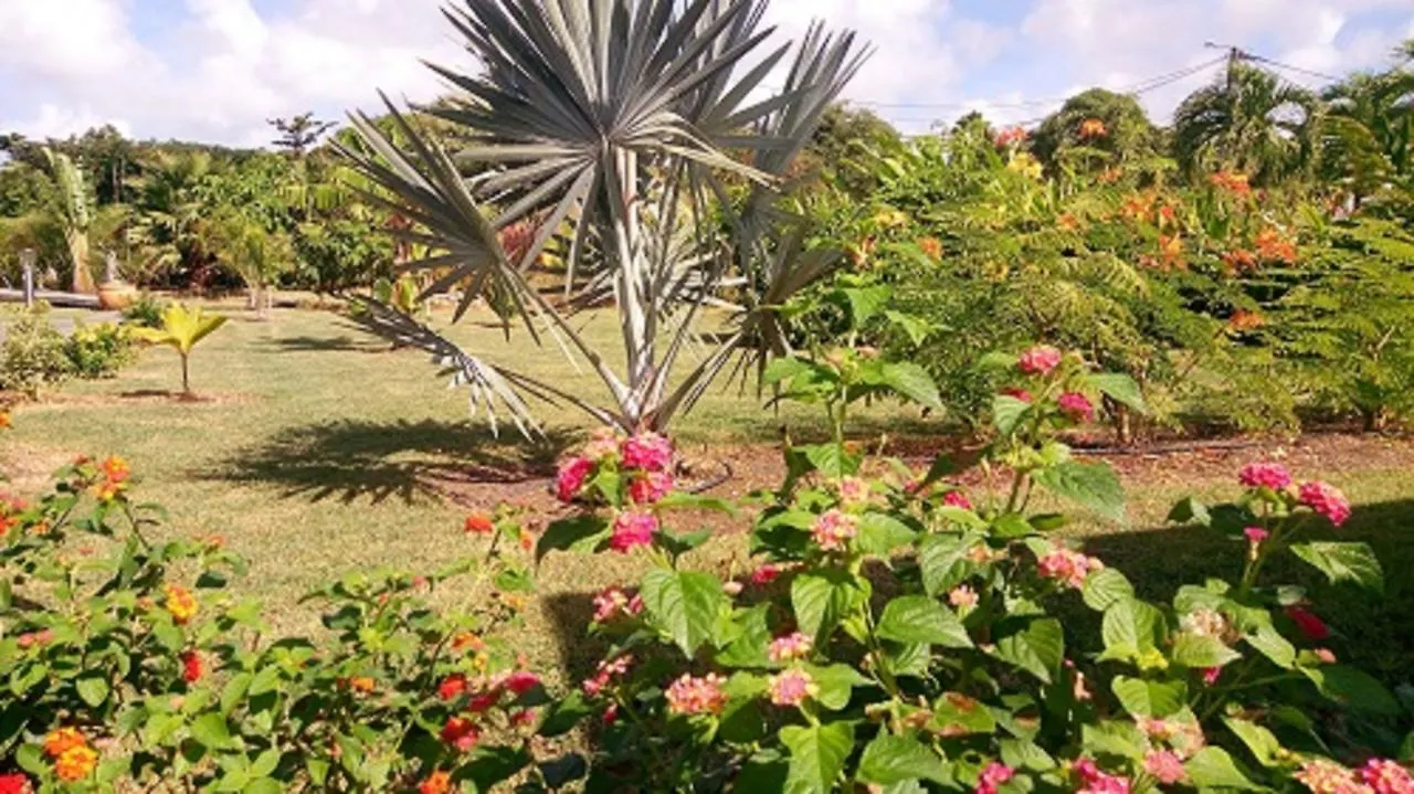 Les Jardins De Kalmeo Hotel Saint-Francois  Saint-Francois (Grande-Terre)