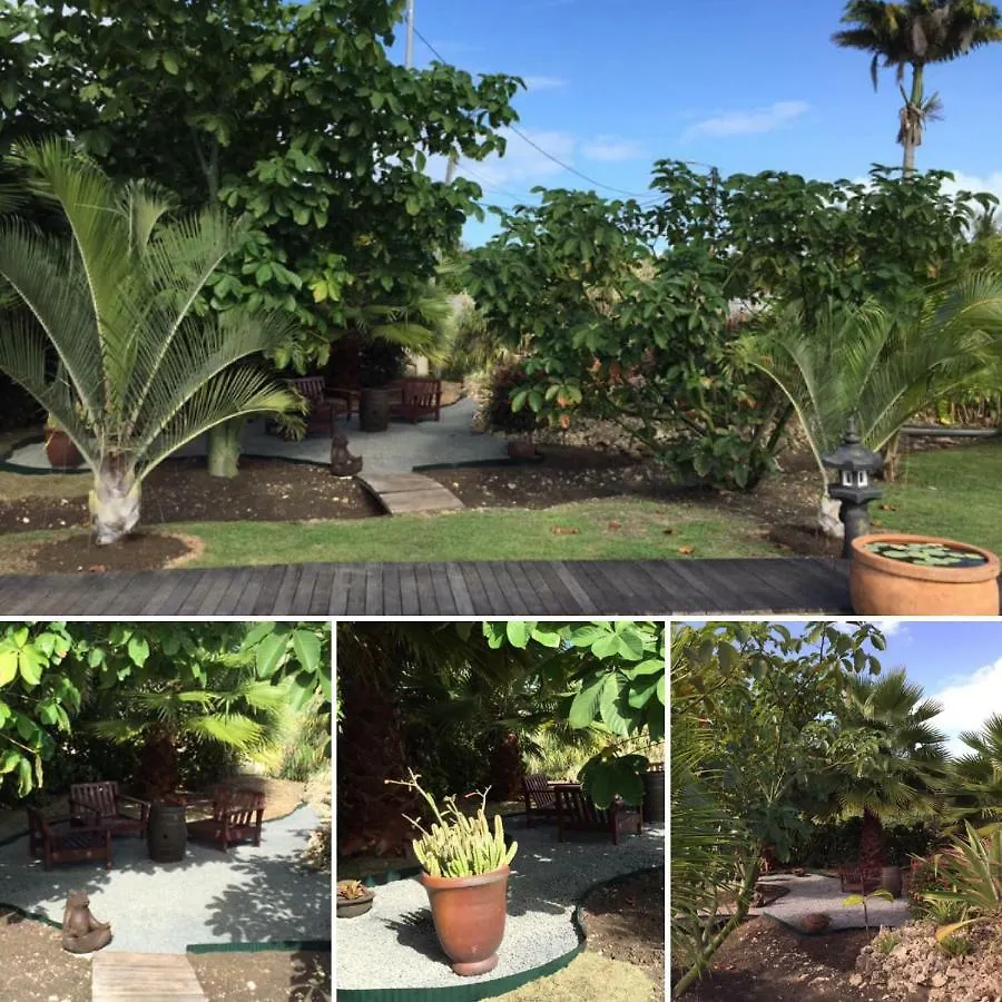 Les Jardins De Kalmeo Hotel Saint-Francois  0*, Saint-Francois (Grande-Terre)